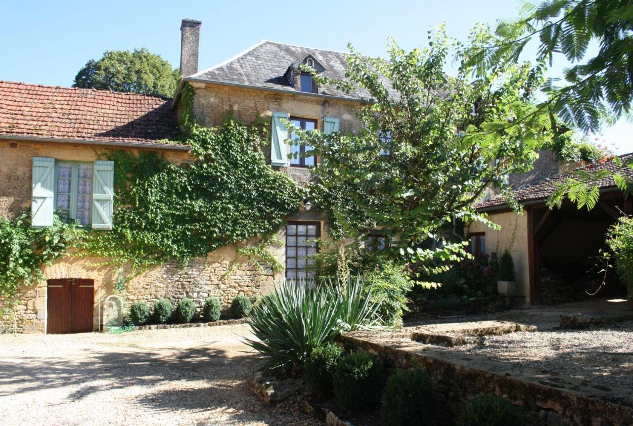 La Vieille Ferme: Superbe Complexe De 3 Gites En Pierre Avec Piscine Au Coeur Du Perigord Noir Saint-Genies Exterior foto