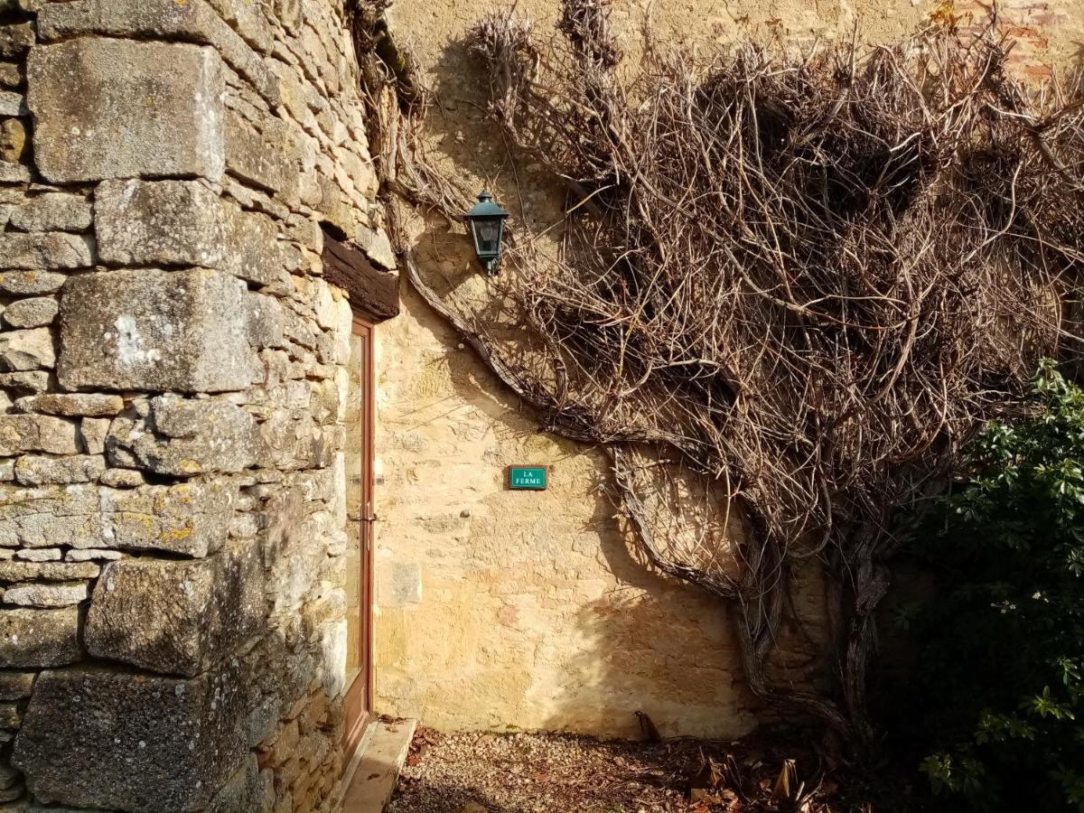 La Vieille Ferme: Superbe Complexe De 3 Gites En Pierre Avec Piscine Au Coeur Du Perigord Noir Saint-Genies Exterior foto
