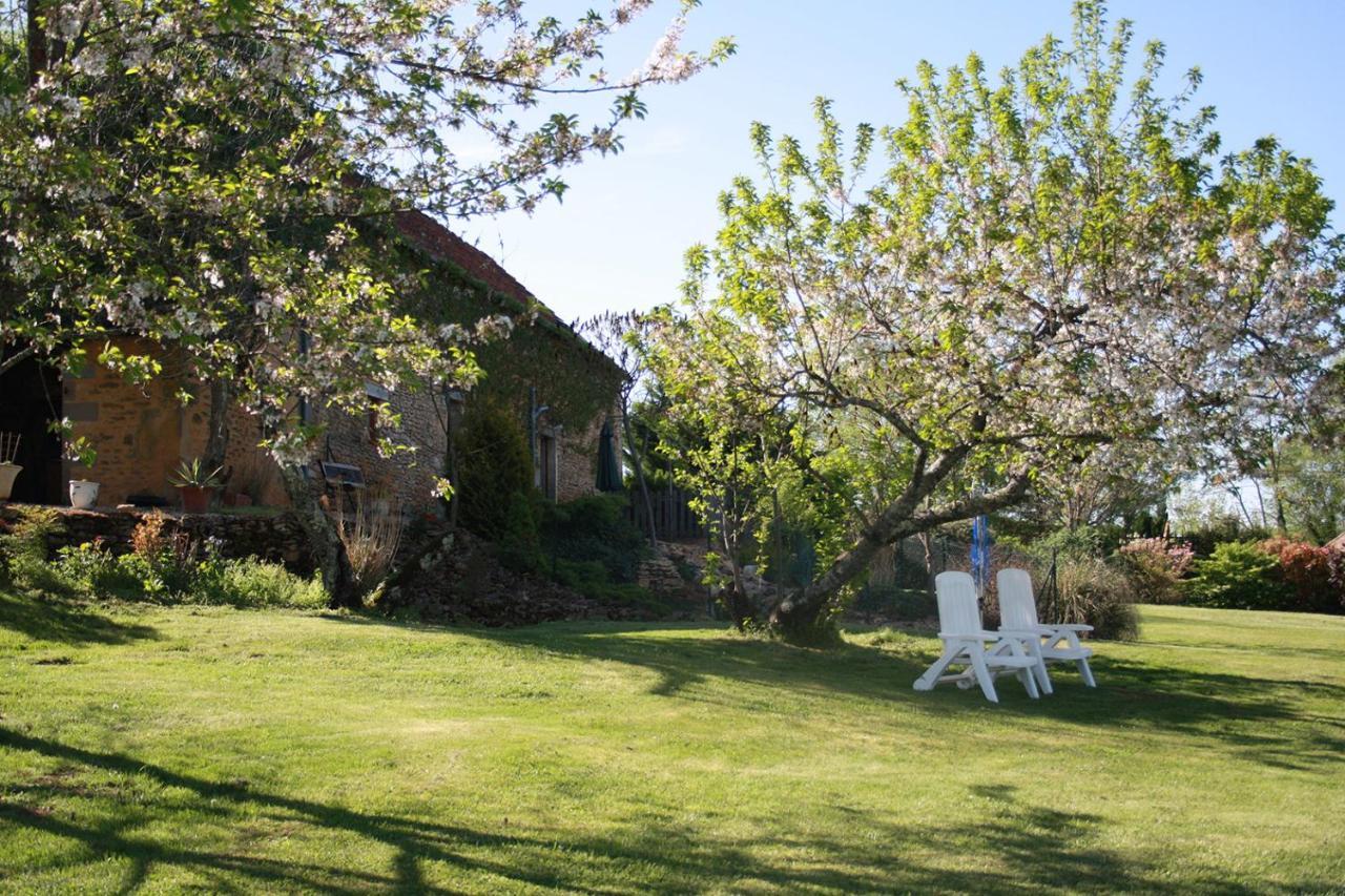 La Vieille Ferme: Superbe Complexe De 3 Gites En Pierre Avec Piscine Au Coeur Du Perigord Noir Saint-Genies Exterior foto